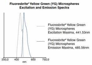 Yellow Green (YG)発光/励起波長グラフ